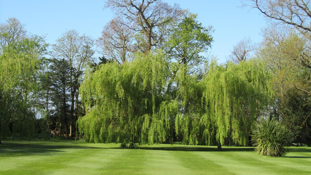 Wartling Place Country House Luaran gambar